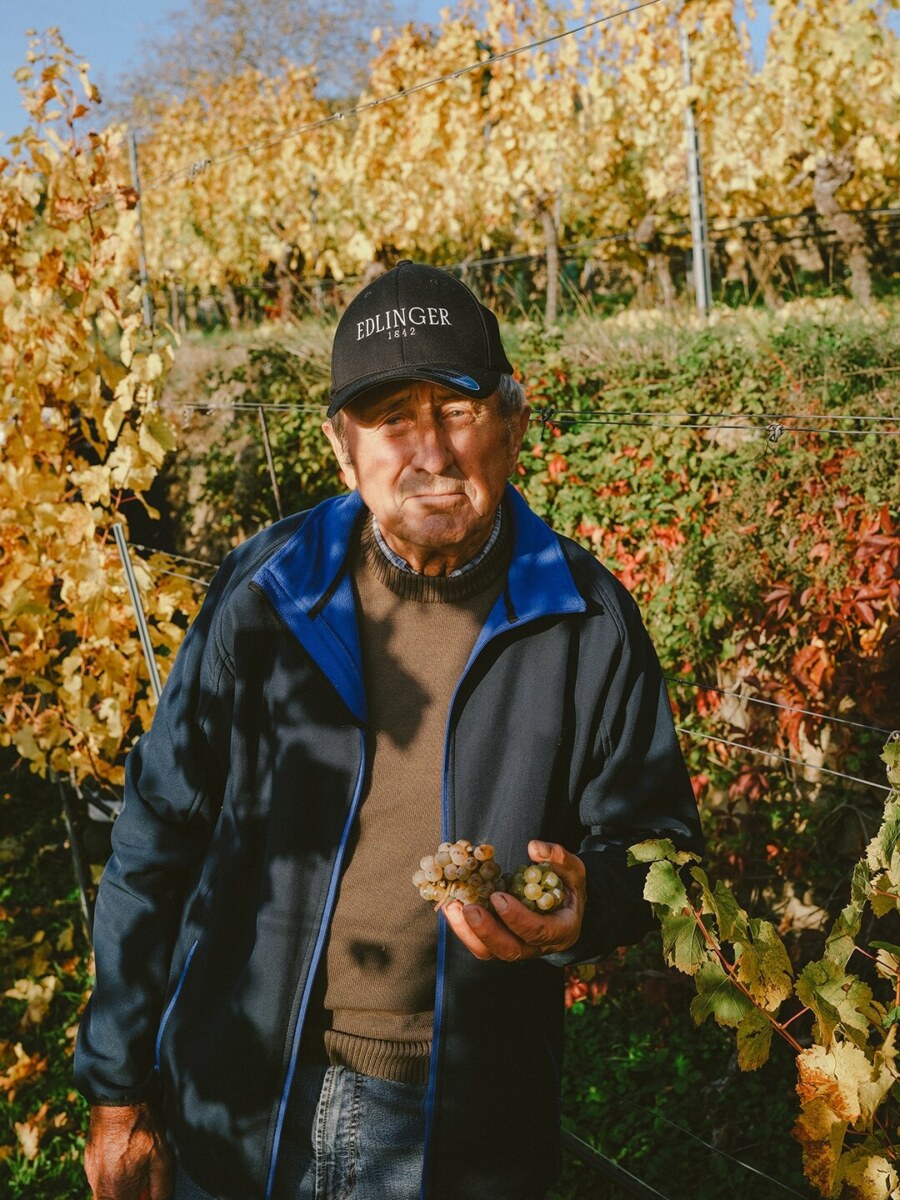 Geschichte Weingut Edlinger